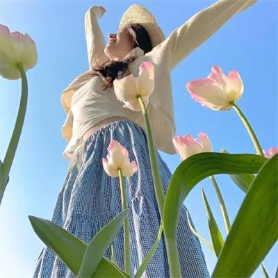 年度鸟事